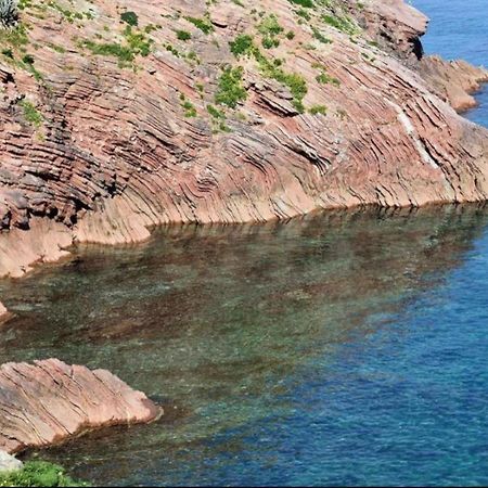 Case Vacanze Terra Sinus Terrasini Eksteriør billede